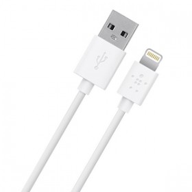 BELKIN F8J023BT04 Lightning to USB Charge Sync Cable 1.2 M, white